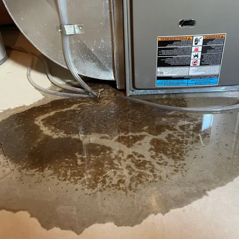 Pipe Burst and Leak Restoration in Red Hook, NY